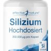 Silizium hochdosiert 60 Kps