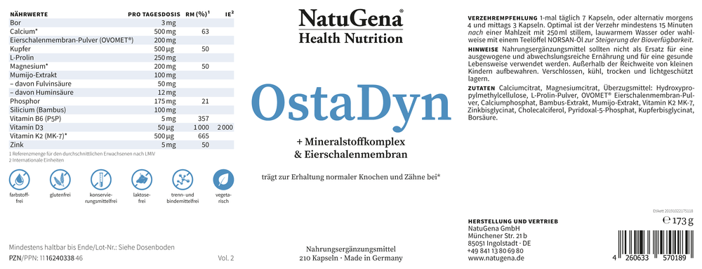 OstaDyn (Knochen) – Bild 2