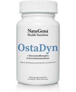OstaDyn (Knochen)