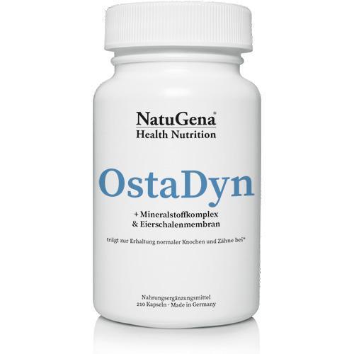 OstaDyn (Knochen)
